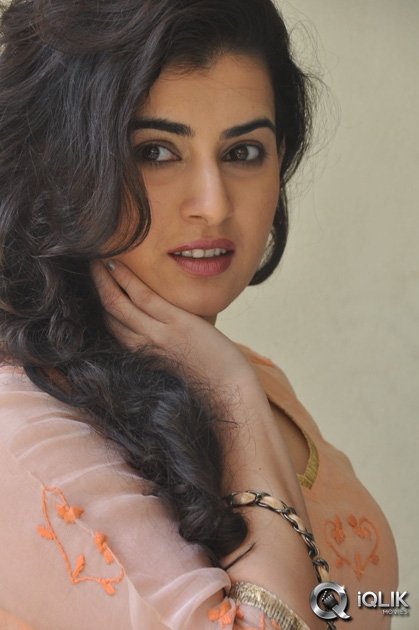 Archana-at-Anandini-Movie-Press-Meet